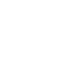 男女比（正社員）