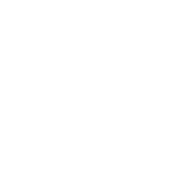 男女比