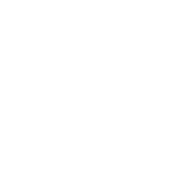 男女比（正社員）